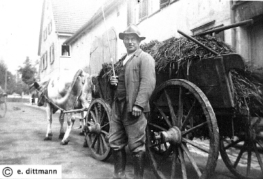 Max Moegle beim Mistfahren.jpg (605389 Byte)