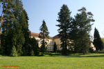 Hohenheim Schlosspark_31.JPG (267504 Byte)