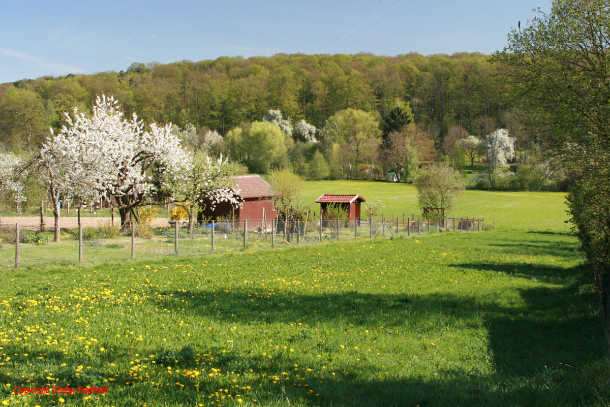 Ramsbachtal