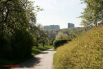 Ramsbachtal_63 zum Asemwald.JPG (318871 Byte)